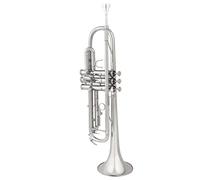Adult Trumpets Professional Standard Trumpet Instrument In B Flat Key Beginner Adult Band Professional Performance Level(C)