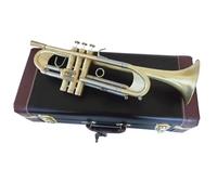 Adult Trumpets Professional Trumpet B Flat Trumpet Musical Instrument Heavier Type Gold Plating Trumpet Playing Music