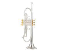Adult Trumpets Professional Trumpet Bb Tune Brass Gold Plated Surface Professional Music Instruments With Case Beginner Performance(Silver)