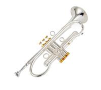Adult Trumpets Professional Trumpet Bb Tune Brass Gold Plated Surface Professional Music Instruments With Case(Silver)