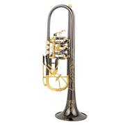 Adult Trumpets Rotary Valve Type Bb Trumpet B Flat Brass Black Nickel Gold Professional Trumpet Musical Instruments With Leather Case