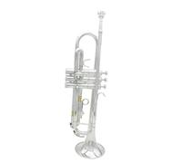 Adult Trumpets Silver Trumpet Brass Standard Bb Trumpet Set For Beginner With Hard Case Gloves
