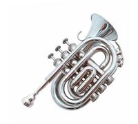 Adult Trumpets Standard Instrument B-flat Brass Trumpet Pocket Trumpet Instrument