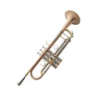 Adult Trumpets Standard Phosphor Copper Brushed Weighted Trumpet Musical Instrument B Flat Tune Beginner Adult Musical Instrument
