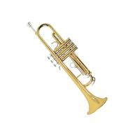 Adult Trumpets Standard Trumpet Instrument In B Flat Key Professional Brass Tube For Beginners(Gold)