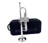 Adult Trumpets Standard Trumpet Instrument Real Shot Image Silver Plated Color Professional Performance