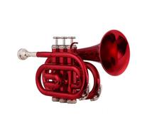 Adult Trumpets Standard Trumpet Set Bb Flat Brass Material Wind Instrument With Gloves Cloth Carrying Case(Red)