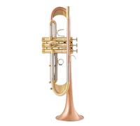 Adult Trumpets TR600GS B Flat Trumpet Instrument Plus Heavy Phosphor Bronze Brushed Silver Plated Professional Performance(B)