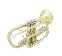 Adult Trumpets Trumpet B Flat Cornet Trumpet Palm Trumpet Gold And Silver Two-color Mini Trumpet Three-key Trumpet