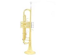 Adult Trumpets Trumpet Bb B Flat Brass Gold Durable Musical Instrument With Bracket Weak Speaker Gloves Strap Case(A)
