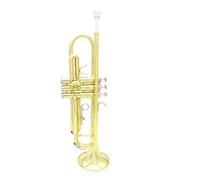 Adult Trumpets Trumpet Bb Flat Professional Brass Gold Silver Trumpet Brass Body Trompete Musical Brass Instrument Case Trumpet(Golden)