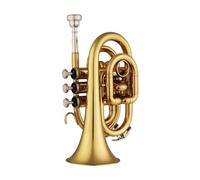 Adult Trumpets Trumpet Brass Instrument Standard Brass Trumpet Bb Flat Brass Material Wind Instrument(Gold)