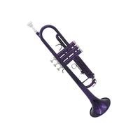Adult Trumpets Trumpet Brass Standard Bb Trumpet Set For Beginner Playing With Hard Case Gloves Parts Accessories