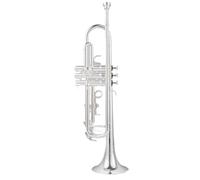 Adult Trumpets Trumpet Instrument B Flat Adult Beautiful Instrument For Beginners To Play(B)