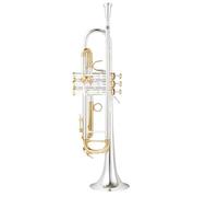 Adult Trumpets Trumpet Instrument B Flat Adult Beautiful Instrument For Beginners To Play(E)
