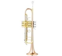 Adult Trumpets Trumpet Instrument B Flat Adult Beautiful Instrument For Beginners To Play(F)