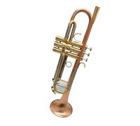 Adult Trumpets Trumpet Instrument B Flat Phosphor Bronze Weighted Beginner Professional Performance
