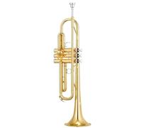 Adult Trumpets Trumpet Instrument B Flat Silver Plated Beginner Exam Professional Performance(A)