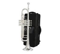 Adult Trumpets Trumpet Instrument In B Flat Trumpet Instrument Grading Test Professional Instrument Beginner(B)