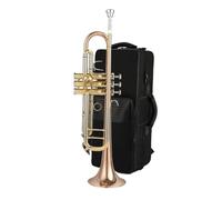 Adult Trumpets Trumpet Instrument In B Flat Trumpet Instrument Grading Test Professional Instrument Beginner(E)