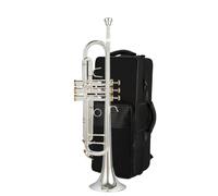 Adult Trumpets Trumpet Instrument In B Flat Trumpet Instrument Grading Test Professional Instrument Beginner(D)
