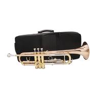 Adult Trumpets Trumpet Instrument Phosphor Copper B Flat Professional Three-tone Beginner Adult Professional Performance Level