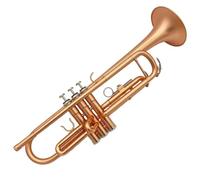 Adult Trumpets Trumpet Musical Instrument Beginners To Play Brass Phosphor-plated Bronze Three-tone Professional Trumpet