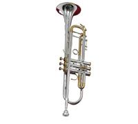 Adult Trumpets Trumpet Pipe Flat Instrument Brass Music Lover(B)