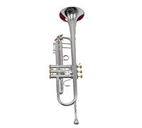 Adult Trumpets Trumpet Pipe Flat Instrument Brass Music Lover(C)