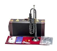 Adult Trumpets Trumpet Pipe Flat Instrument Brass Music Lover(D)