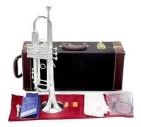 Adult Trumpets Trumpet Pipe Flat Instrument Brass Music Lover(E)