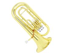 Adult Tuba Bb Flat Euphonium 3 Key Brass Body Musical Instrument Accessories With Case Back Straps