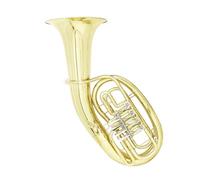 Adult Tuba Four Key Euphonium Bb Beginner Adult Instrument