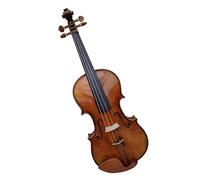 Adult Violin Professional Violin 4/4 Spruce Maple Solid Wood Set With Accessories Beginners Adults Easy To Play(Type3)