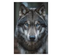 Adult Vivid Jigsaw Puzzle, Gray Wolf with Blue Eyes -1, 1000 PCS