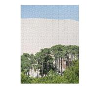 Adult Vivid Jigsaw Puzzle, The Dune, 500 PCS