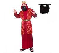 Adult Wise Man Costume + Black Beard : Christmas Religious Nativity Mens Fancy Dress