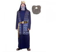 Adult Wise Man Costume + Grey Beard : Christmas Religious Nativity Mens Fancy Dress (Plus Size)