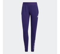 Adult/women's Training Bottoms Tiro 25 Competition - Purple