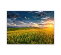 Adult Wooden Educational Puzzle 1000 Pieces Landscape with Sunny Dawn in a Field with Clouds for Players Who Like to Challenge The Difficult and Unlock More Complex Patterns in Hd