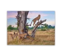 Adult Wooden Puzzle 500 Pieces Jigsaw Three Male Cheetahs at a Dead Tree for Players Who Like to Challenge The Difficult and Unlock More Complex Patterns in Hd