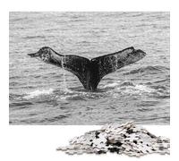 Adults 1000 Piece Humpback Whale Tail Splash Jigsaw Puzzles Woodenboard Puzzles Jigsaw Puzzles for Gifts 1000pcs (75x50cm)