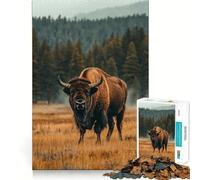 Adults 1000 Piece Jigsaw Puzzle Bison in Yellowstone National Park Exact Edge Art Brain Game Gift Cozy Time Game Christmas Fun Gift (38x52cm)