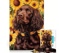 Adults 1000 Piece Jigsaw Puzzle Boykin Spaniel in Sunflower Field Sharp Cut Art Brain Challenge Fun Idle Time Game Birthday Game Gift (38x26cm)