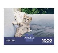 Adults 1000 Piece Jigsaw Puzzle Curious Kitten on Couch Jigsaws for Adults Brain Teaser Game Difficult Hard Unique Gifts for Birthday And Christmas 70x50cm/1000pcs