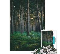 Adults 1000 Piece Jigsaw Puzzle Stream Through The Woods Jigsaw for Adults Toy Wall Decor But Fun And Humorous Unique Gifts for Birthday And Christmas (Size 50x75cm)