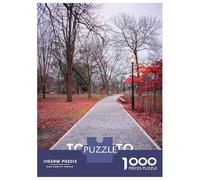 Adults 1000 Piece Jigsaw Puzzle TORONTO 5 Puzzles for Adults Brain Teaser Game Perfect Decoration Birthday And Unique Gifts 52x38cm/1000pcs