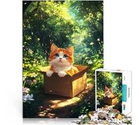 Adults 1000 Pieces Puzzle Cat On A Box in Forest Staycation Kill time 50x75cm Unique Birthday and Gifts for Age 14 Years Up
