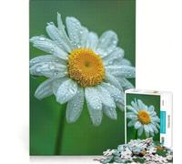 Adults 1000 Pieces Puzzle Daisy Water Droplets, Toy Wall Decor, Fun at Home Activities, Improving Love between Couples 38x26cm