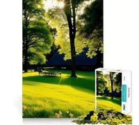 Adults 1000 Pieces Puzzle Lonely Is The Bench Sharp Edge Game Mind Skill Fun Quiet Play Game Christmas Calm Gift (38x52cm)